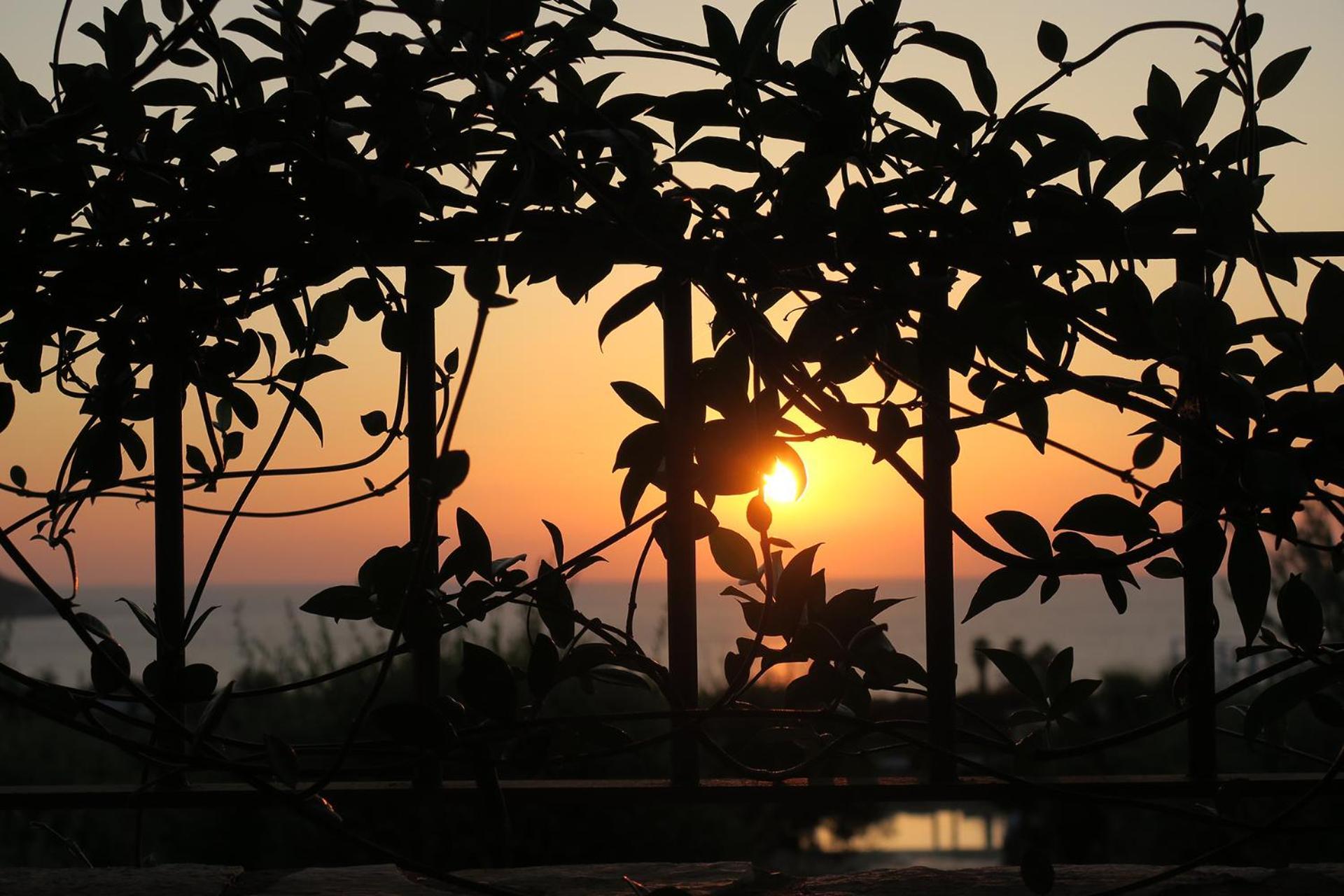 马拉松波利斯Agrikies Country Retreat公寓 外观 照片